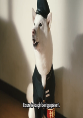 CM - SoftBank Dog Smartphone PTA